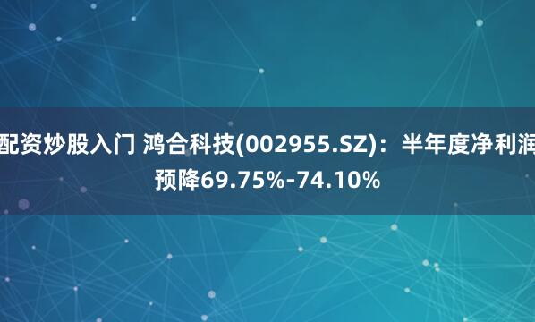 配资炒股入门 鸿合科技(002955.SZ)：半年度净利润预降69.75%-74.10%