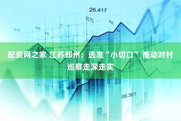 配资网之家 江苏邳州：选准“小切口” 推动对村巡察走深走实