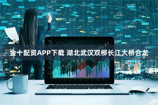 金十配资APP下载 湖北武汉双柳长江大桥合龙